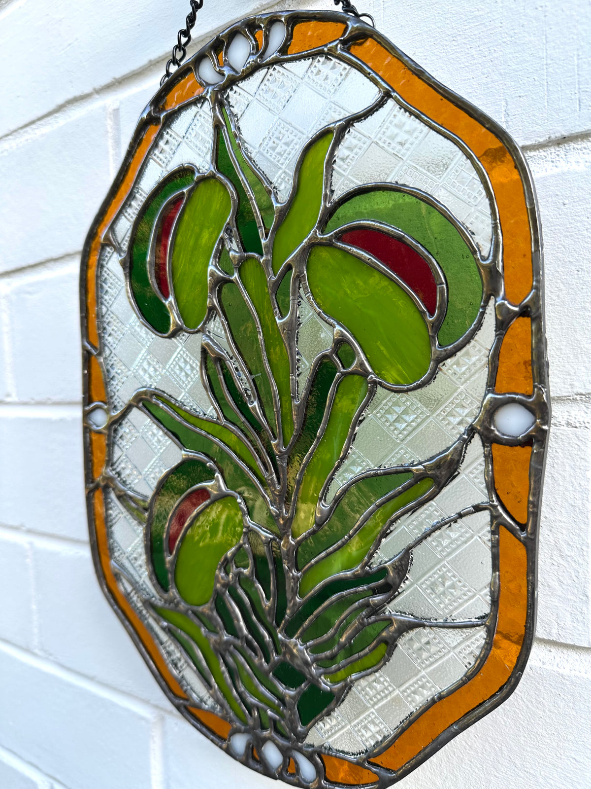 Venus Flytrap