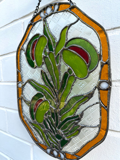 Venus Flytrap