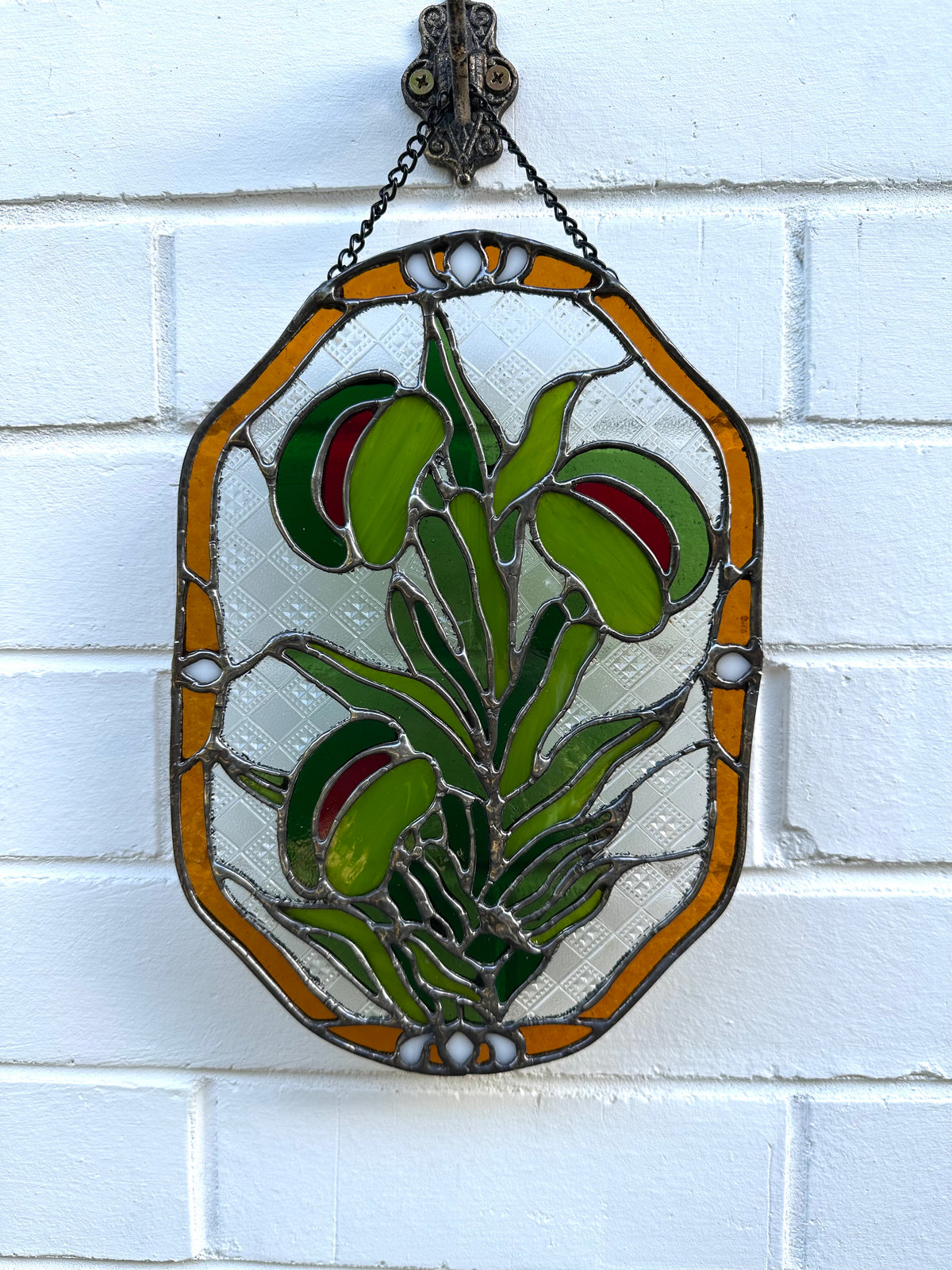 Venus Flytrap
