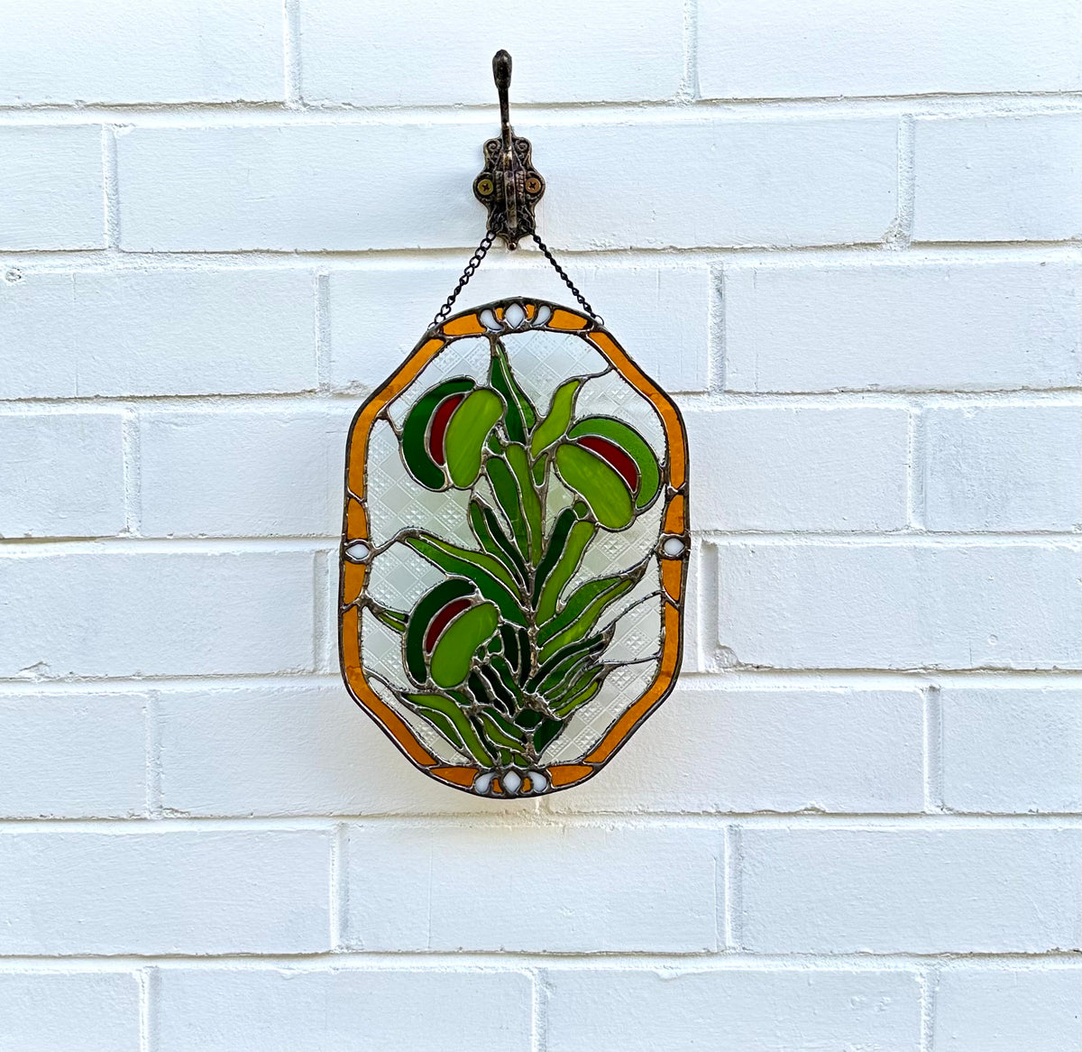 Venus Flytrap